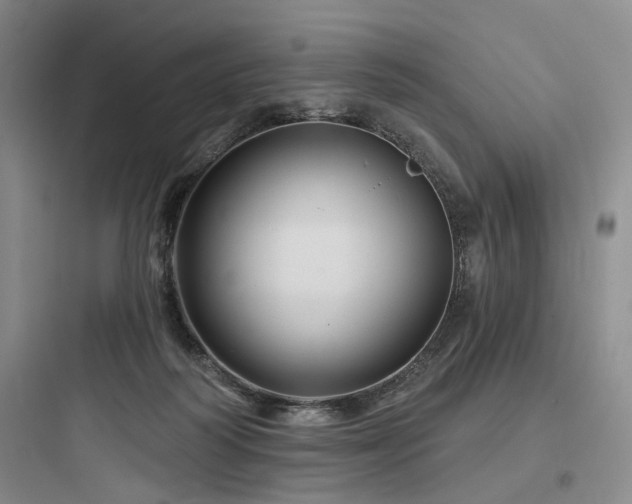 X0000097970218200803241243