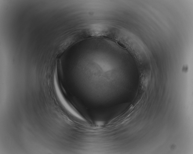 X0000097970219200803241243
