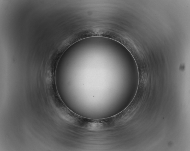 X0000097970220200803241243