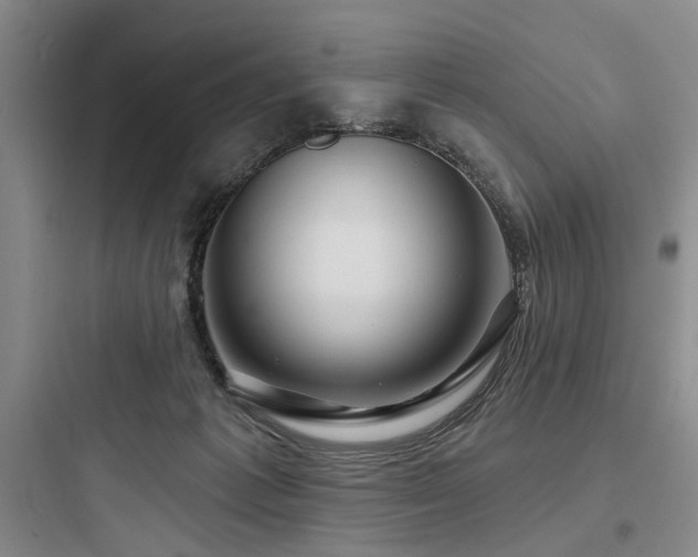 X0000097970221200803241243