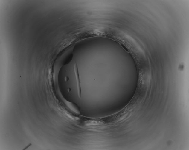 X0000097970223200803241243