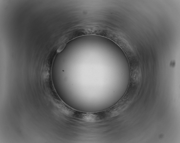 X0000097970226200803241243