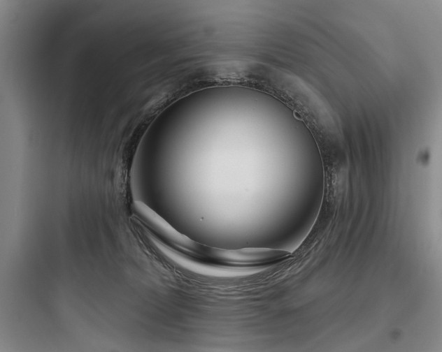 X0000097970228200803241242
