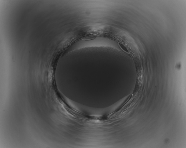 X0000097970231200803241242