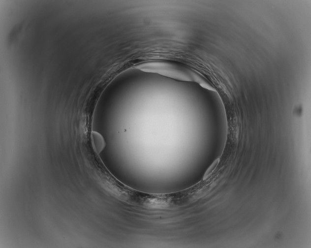 X0000097970232200803241242
