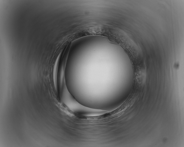 X0000097970233200803241242