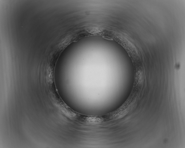X0000097970234200803241242