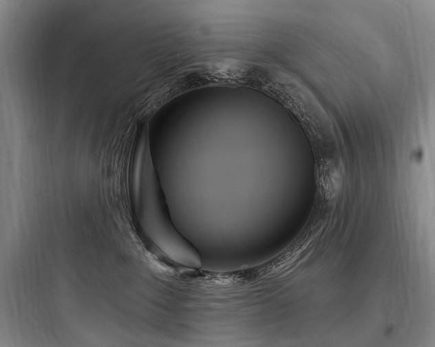 X0000097970235200803241242