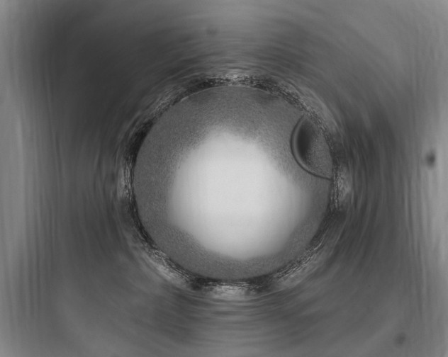 X0000097970236200803241242