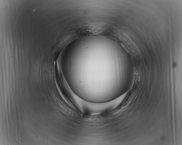 X0000097970237200803241242
