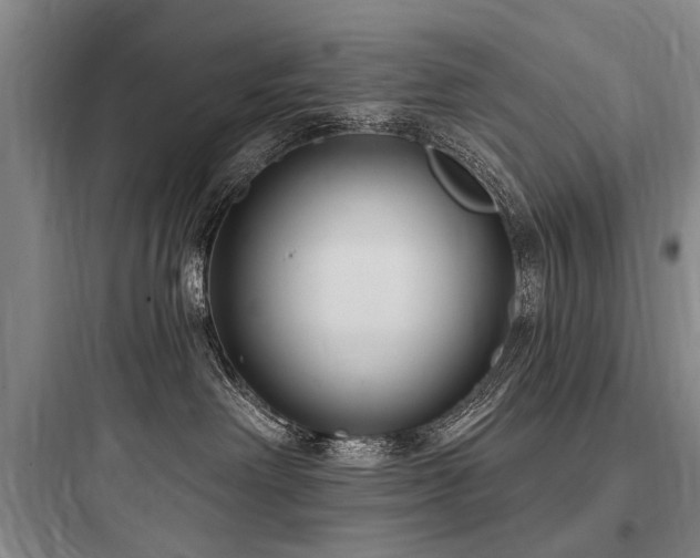 X0000097970238200803241242