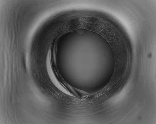 X0000097970239200803241242