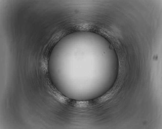 X0000097970240200803241242