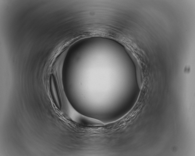 X0000097970241200803241242