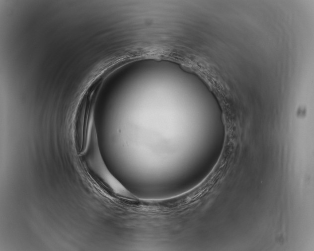 X0000097970242200803241242