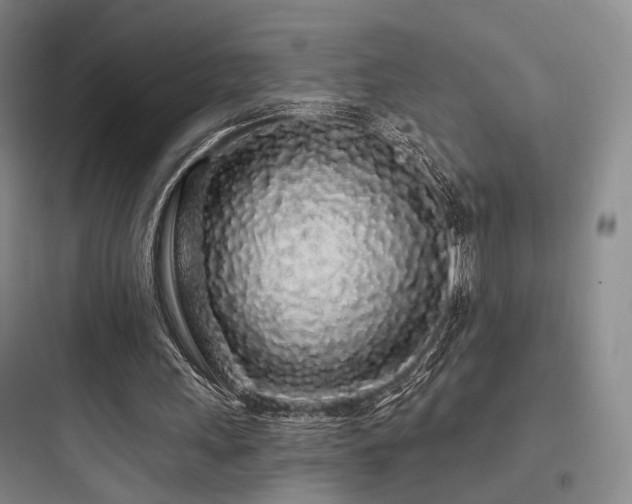 X0000097970243200803241242