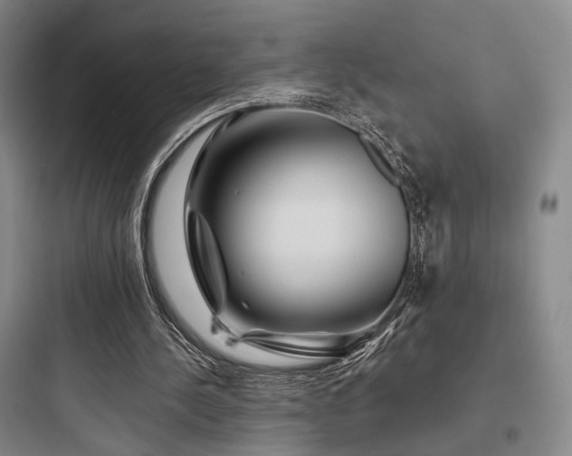 X0000097970244200803241242