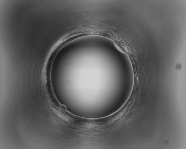 X0000097970246200803241242