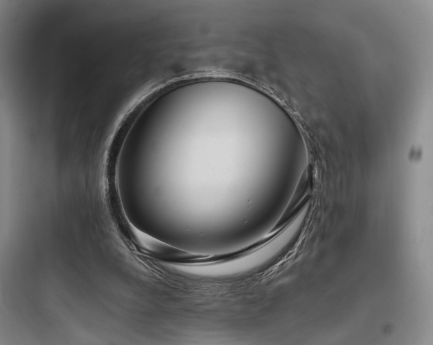 X0000097970248200803241242