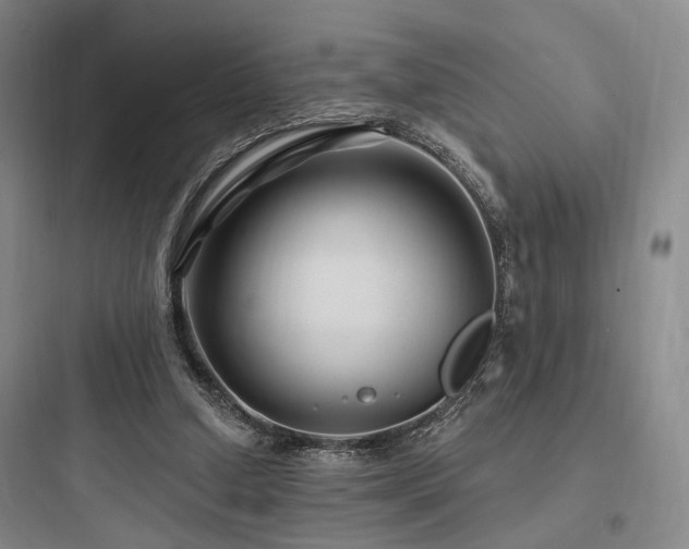 X0000097970250200803241242