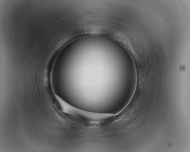 X0000097970251200803241242