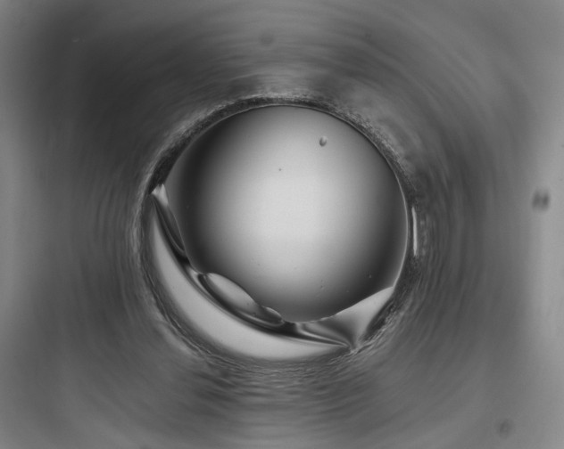 X0000097970252200803241242