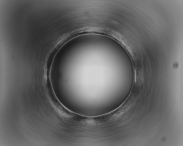 X0000097970253200803241242