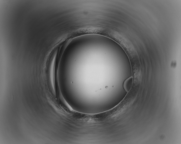 X0000097970254200803241242