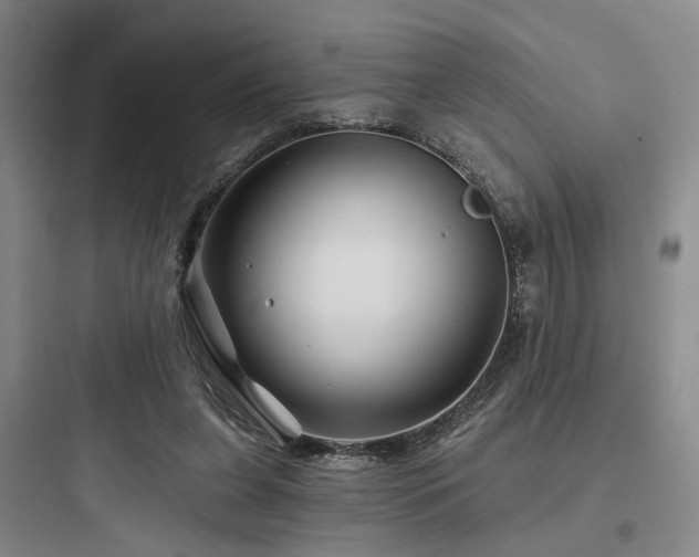 X0000097970255200803241242