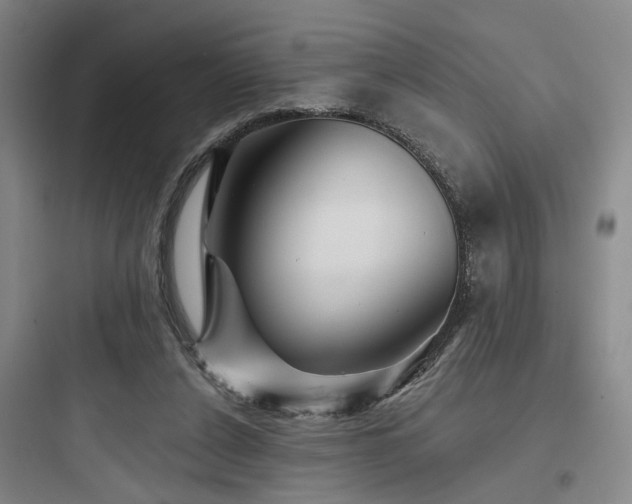 X0000097970256200803241242