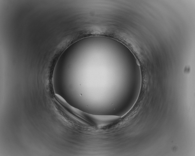 X0000097970257200803241242