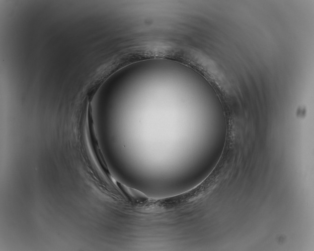 X0000097970258200803241242