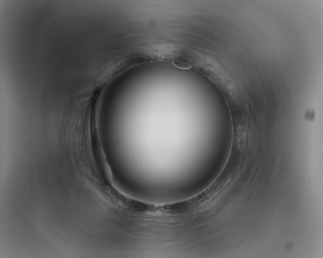 X0000097970259200803241242