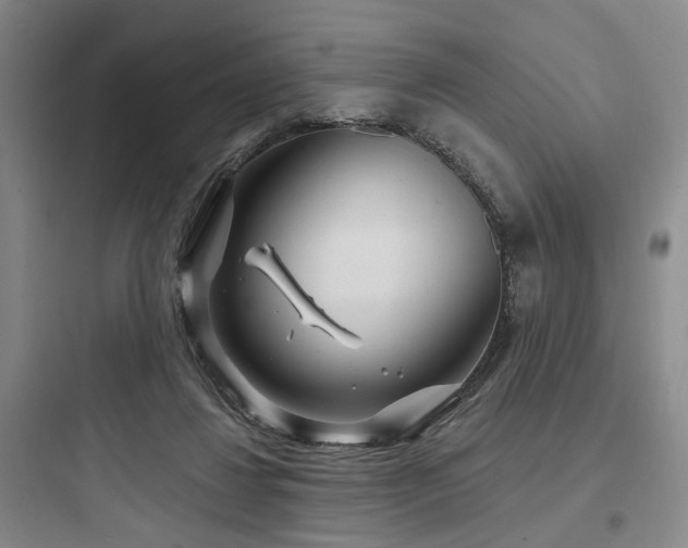 X0000097970260200803241242