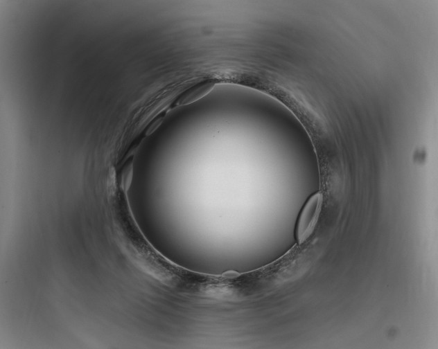 X0000097970262200803241242