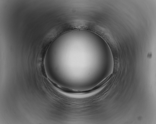 X0000097970263200803241242