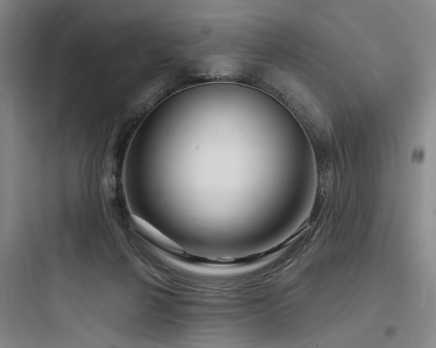 X0000097970264200803241242