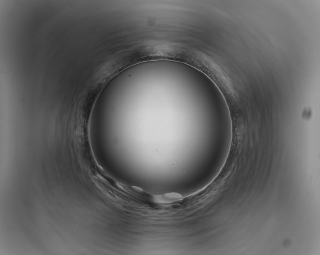 X0000097970265200803241242