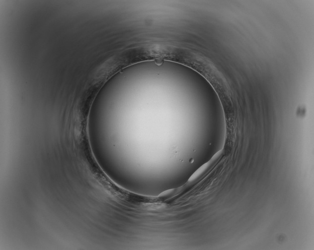 X0000097970266200803241242