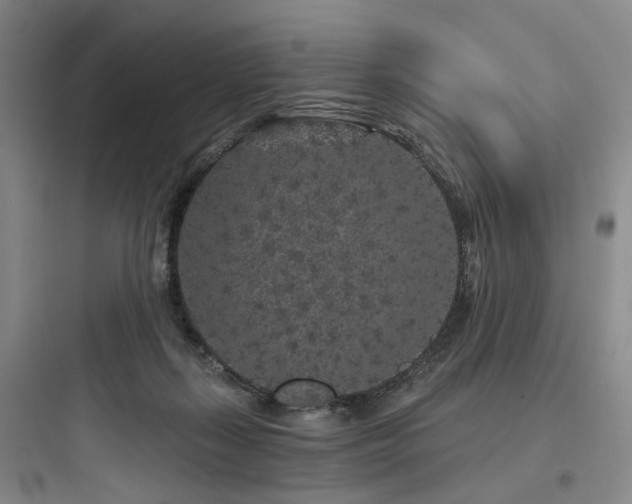 X0000097970267200803241242