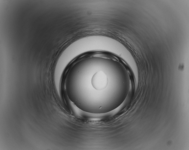 X0000097970268200803241242