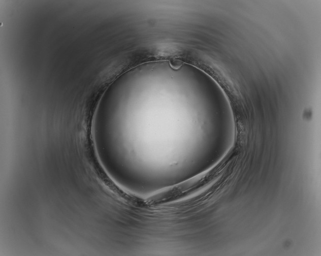 X0000097970269200803241242