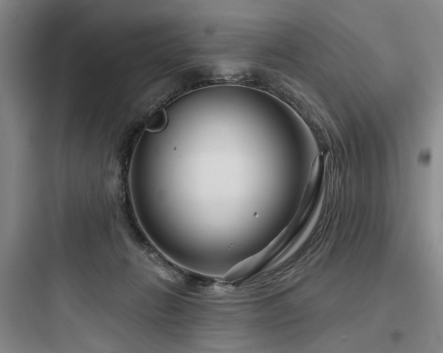 X0000097970270200803241242