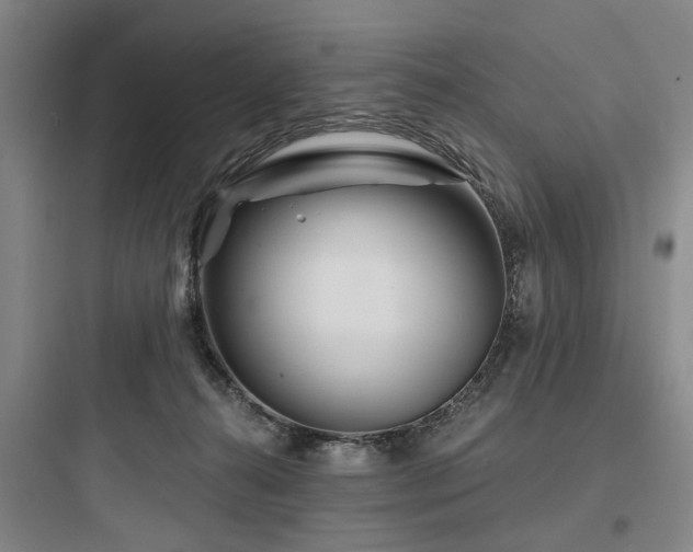 X0000097970272200803241242