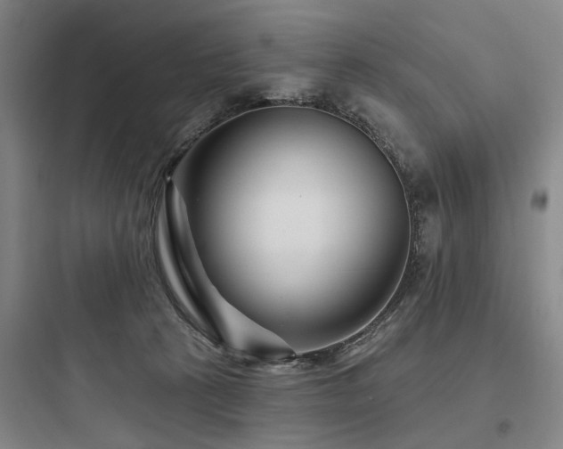X0000097970273200803241242