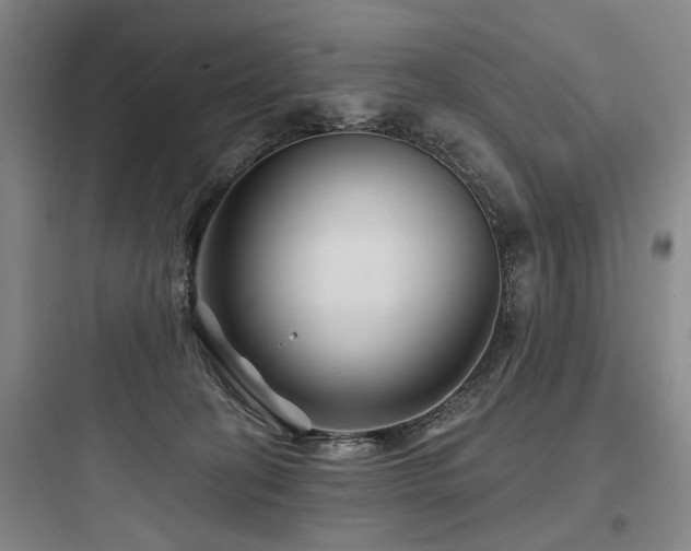 X0000097970274200803241242
