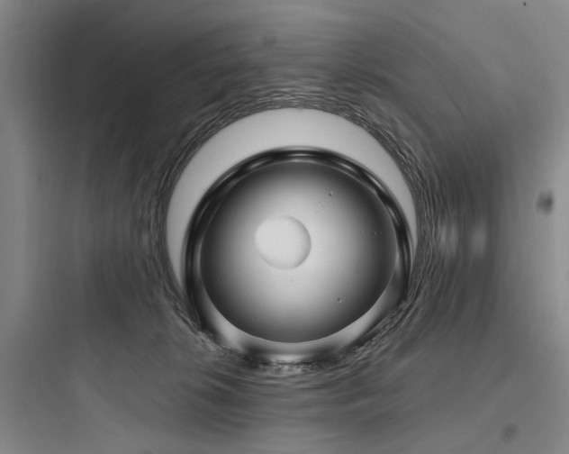 X0000097970276200803241242