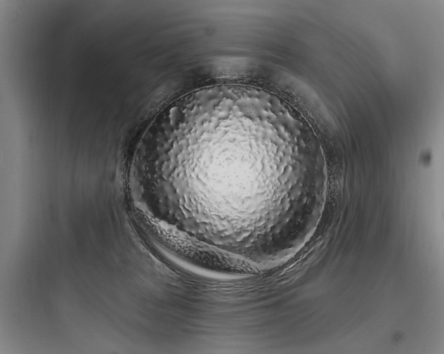 X0000097970277200803241242