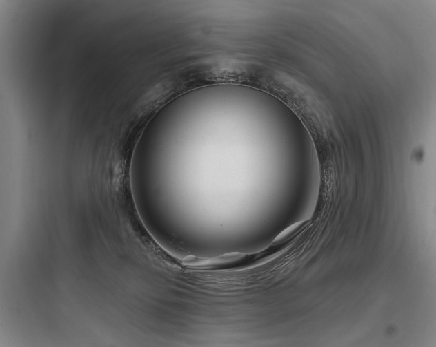 X0000097970278200803241242