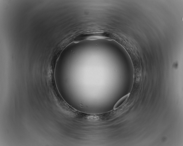 X0000097970279200803241242